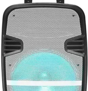 PARLANTE PORTATIL AW-P1200D-SN 6000W