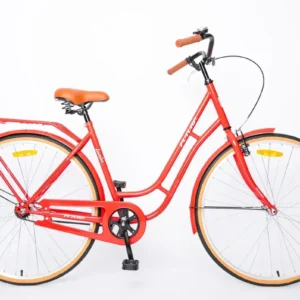 BICICLETA PASEO R29 COD3582 LOOLA 700C DUTCH STYLE