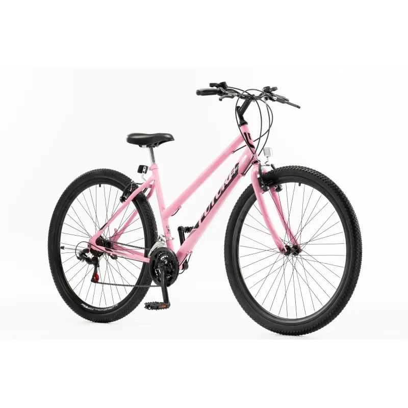 BICICLETA MTB R29 TECHNO 5304 LINEA ACERO - Imagen 2