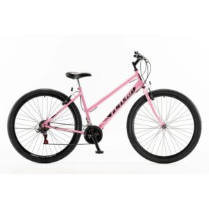 BICICLETA MTB R29 TECHNO 5304 LINEA ACERO