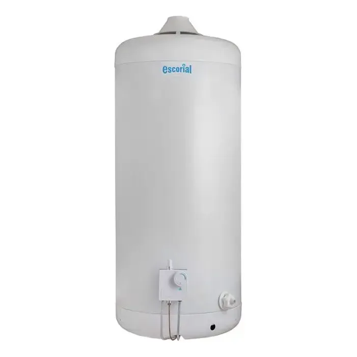 TERMOTANQUE A GAS 80 LTS. MULTIGAS