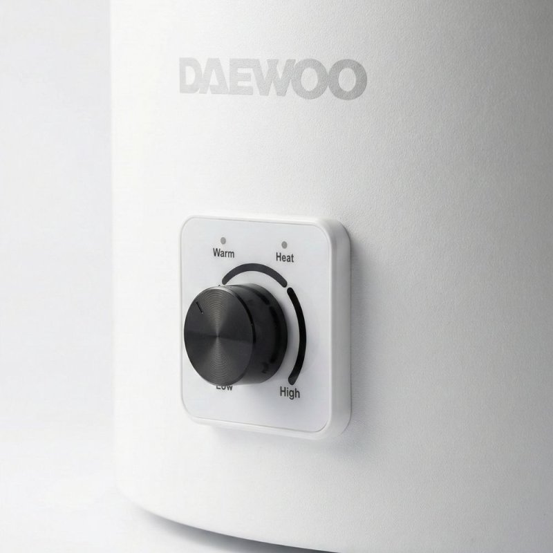 TERMOTANQUE ELECTRICO 100L DW-004 DAEWOO - Imagen 2